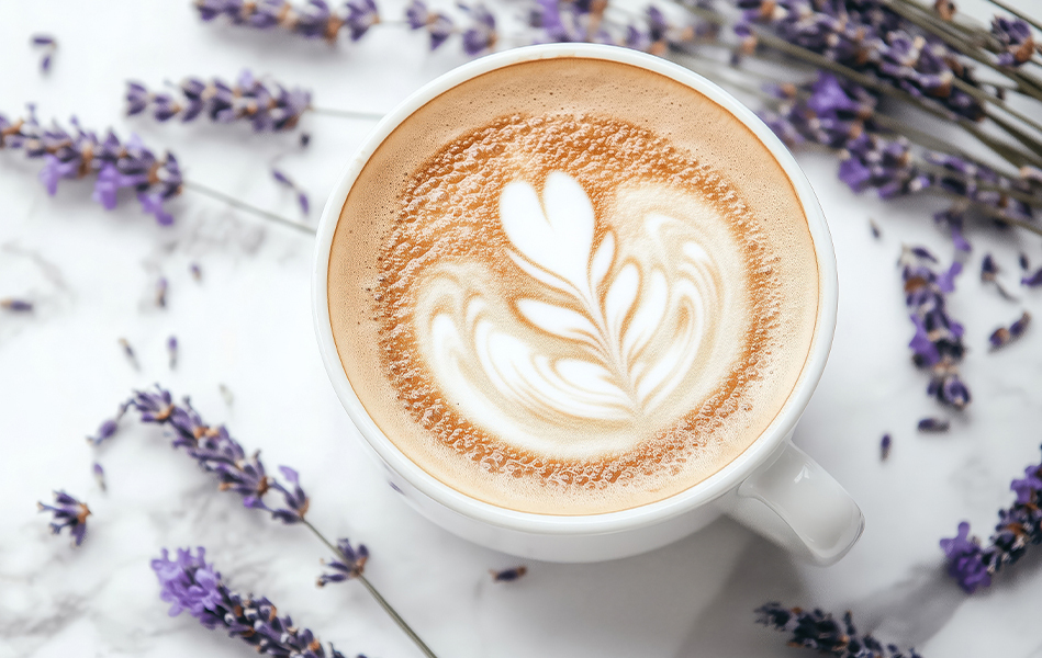 LavLatte