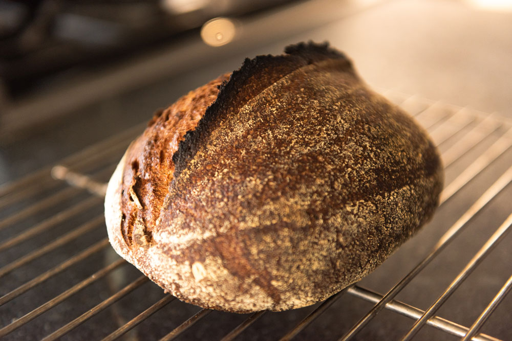 sourdough by chef Matt