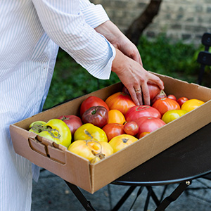 Vietnamese Heirloom Tomato Salad