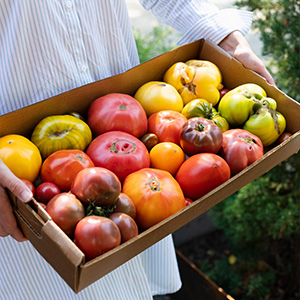 Vietnamese Heirloom Tomato Salad