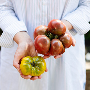 Vietnamese Heirloom Tomato Salad
