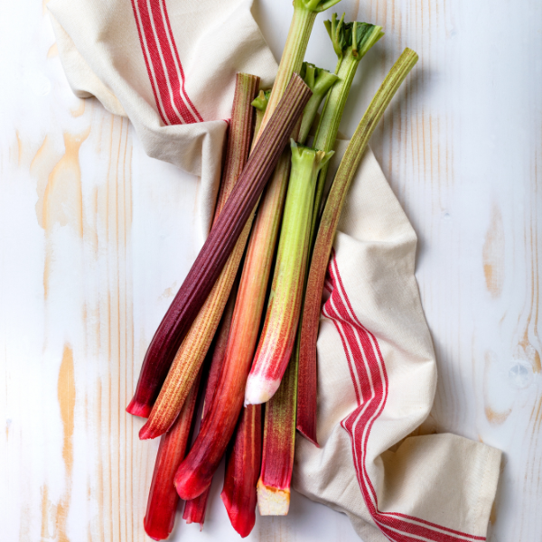 Rhubarb